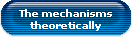 The mechanisms
theoretically